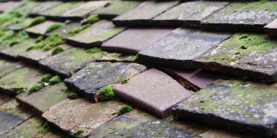 Tregaron roof repair costs